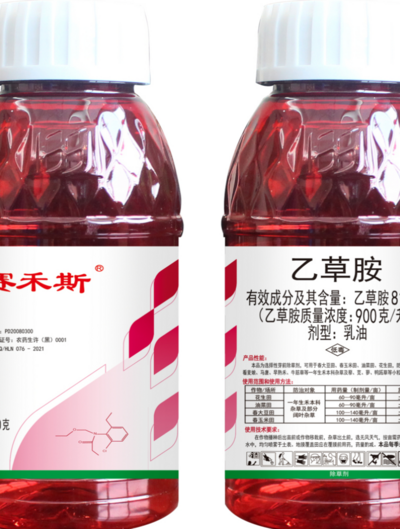 赛禾思.png